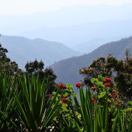 San Jose Del Pacifico- Cabanas Camino Al Cielo 1 Εξωτερικό φωτογραφία