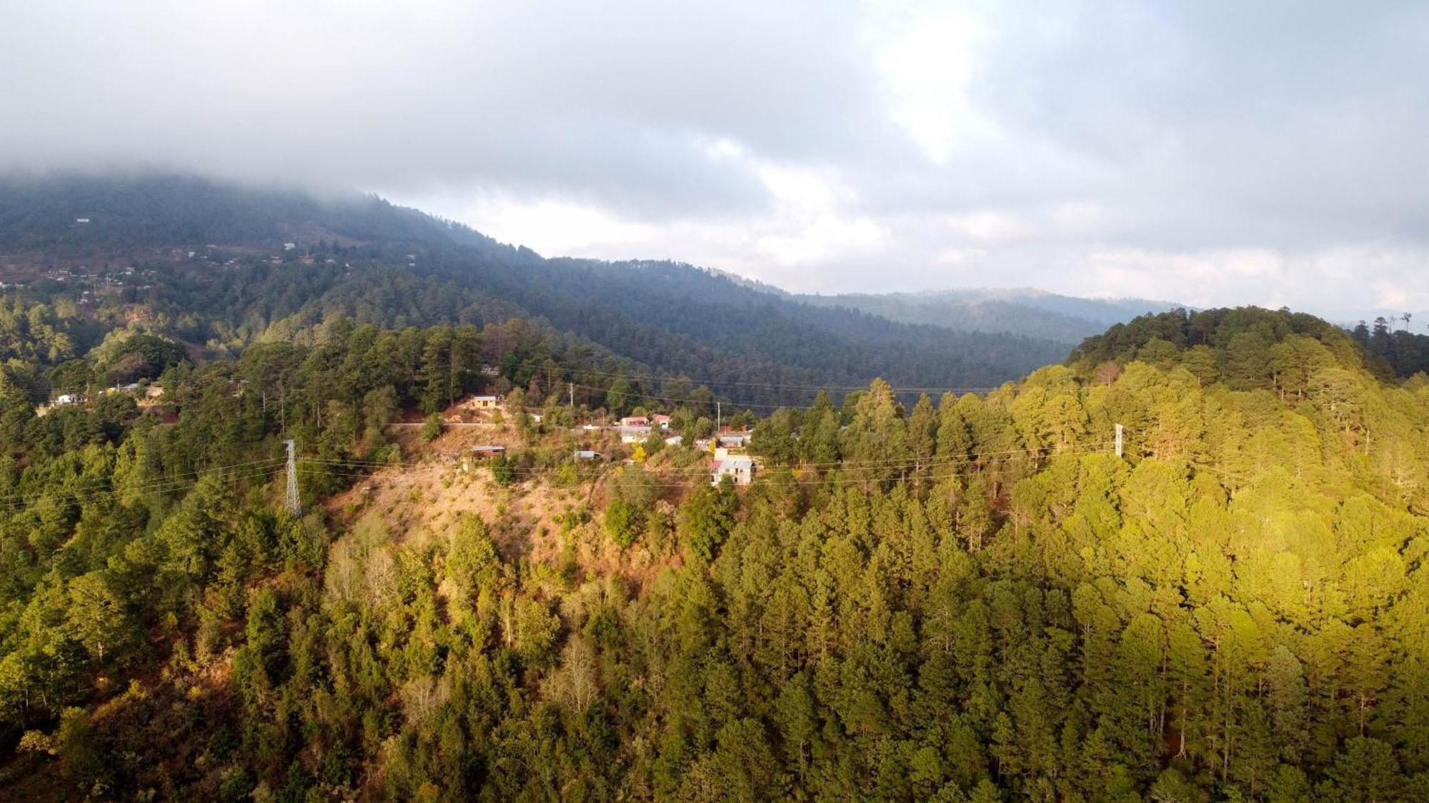 San Jose Del Pacifico- Cabanas Camino Al Cielo 1 Εξωτερικό φωτογραφία